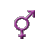 transgender content